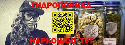 PSILOCYBIN Моздок